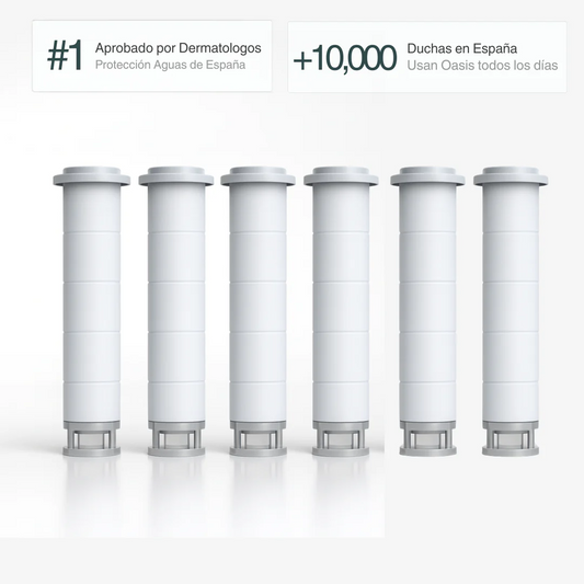 Pack de 6 Filtros de Repuesto